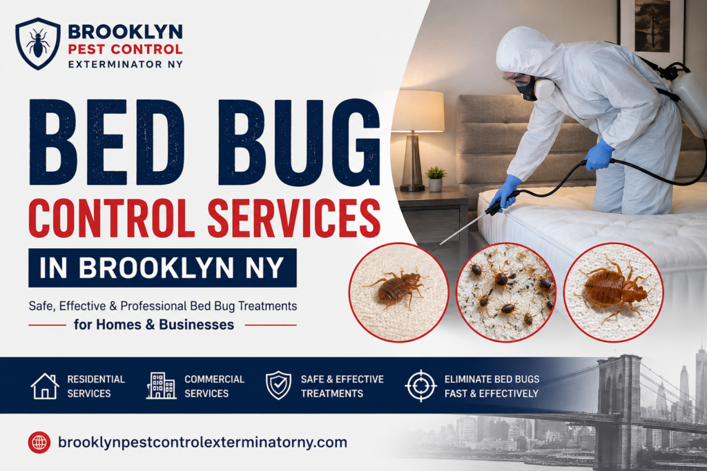 Bed Bug Control Services in Brooklyn NY